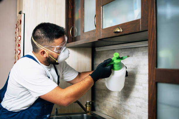 Best Emergency Pest Control  in San Marcos, TX