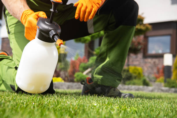 Reliable San Marcos, TX Pest Control Solutions