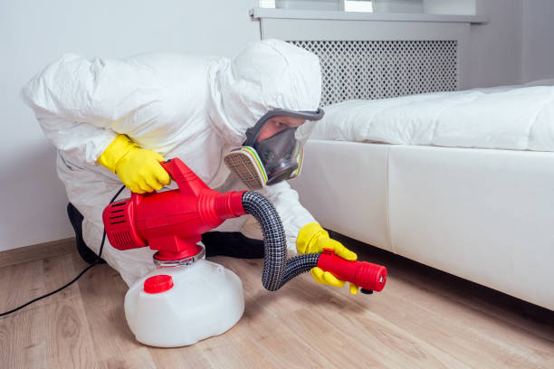Best Emergency Pest Control  in San Marcos, TX