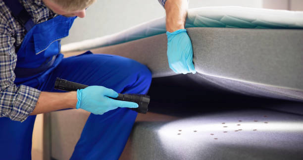 Best Cockroach Control Services  in San Marcos, TX