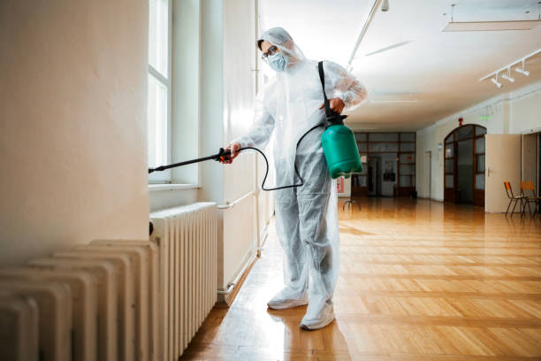 Best Pest Removal Services  in San Marcos, TX