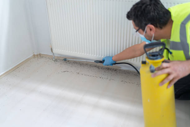 Best Affordable Pest Control Services  in San Marcos, TX